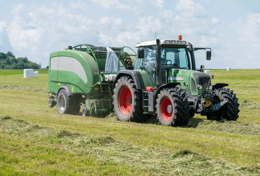 Testowy wpis na blogu